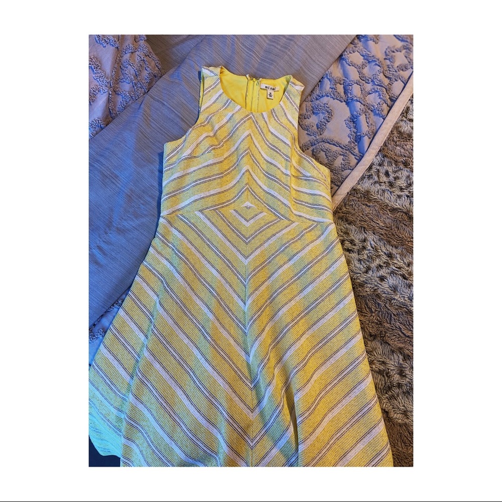 Francesca’s Dress.